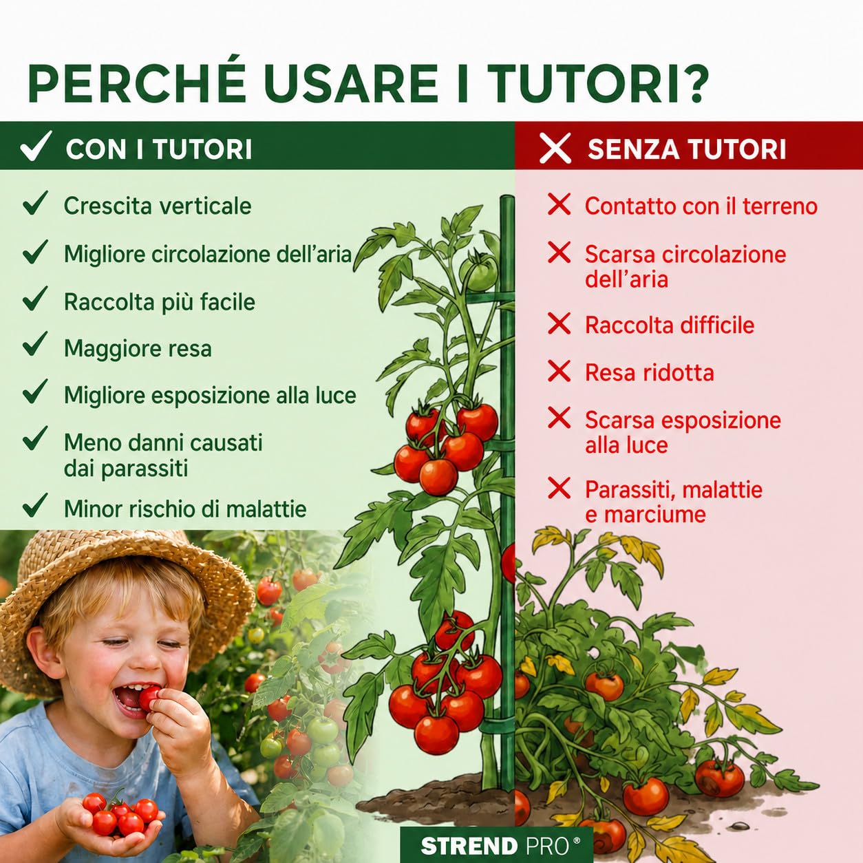 STREND PRO Tutori a Spirale per Pomodori 200 cm, Set da 25 | Ø 7 mm, Acciaio Zincato | Sostegni per Rampicanti