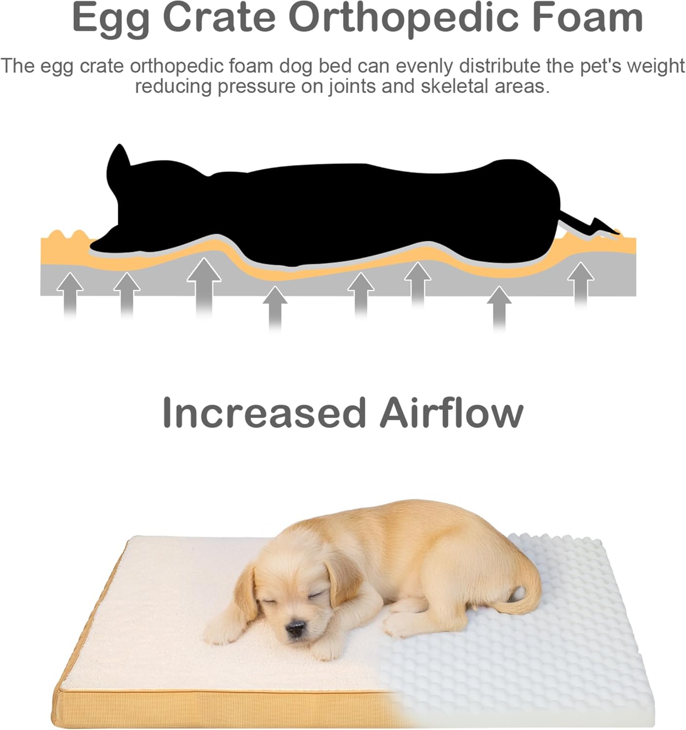 https://m.media-amazon.com/images/I/717PtVY23fL._AC_SL1500_.jpg