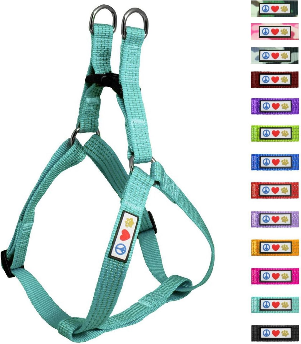 passo di esercizio per anziani