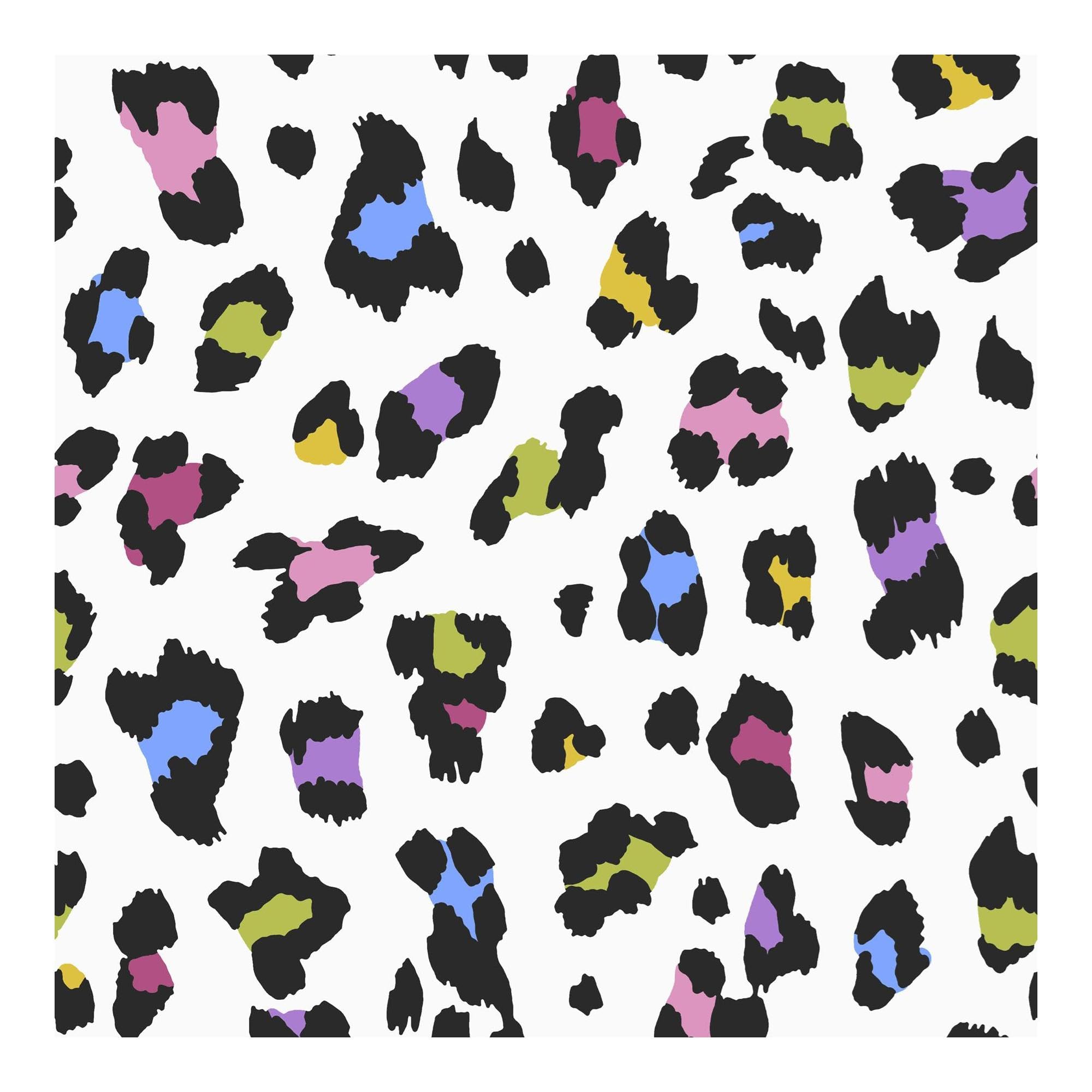 Envy Big Cat Wallpaper | Confetti 5011583528145