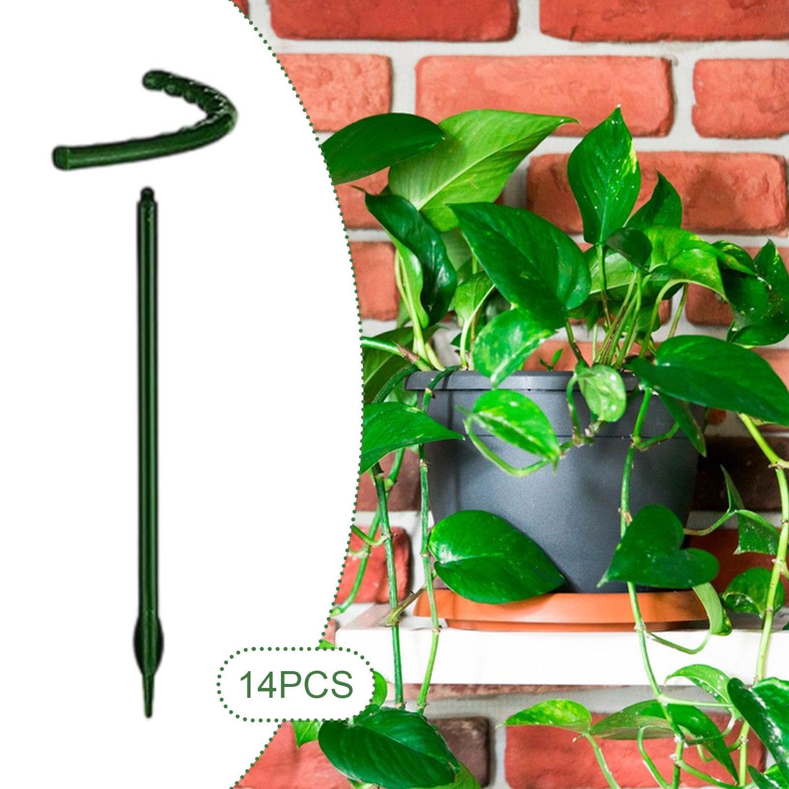 ATORSE 14 picchetti di supporto per piante da giardino, bonsai, piccoli bastoncini semicircolari da esterno, 14 x 24 cm, per cortile, giardino e vita all'aperto, forniture per giardinaggio, cura delle
