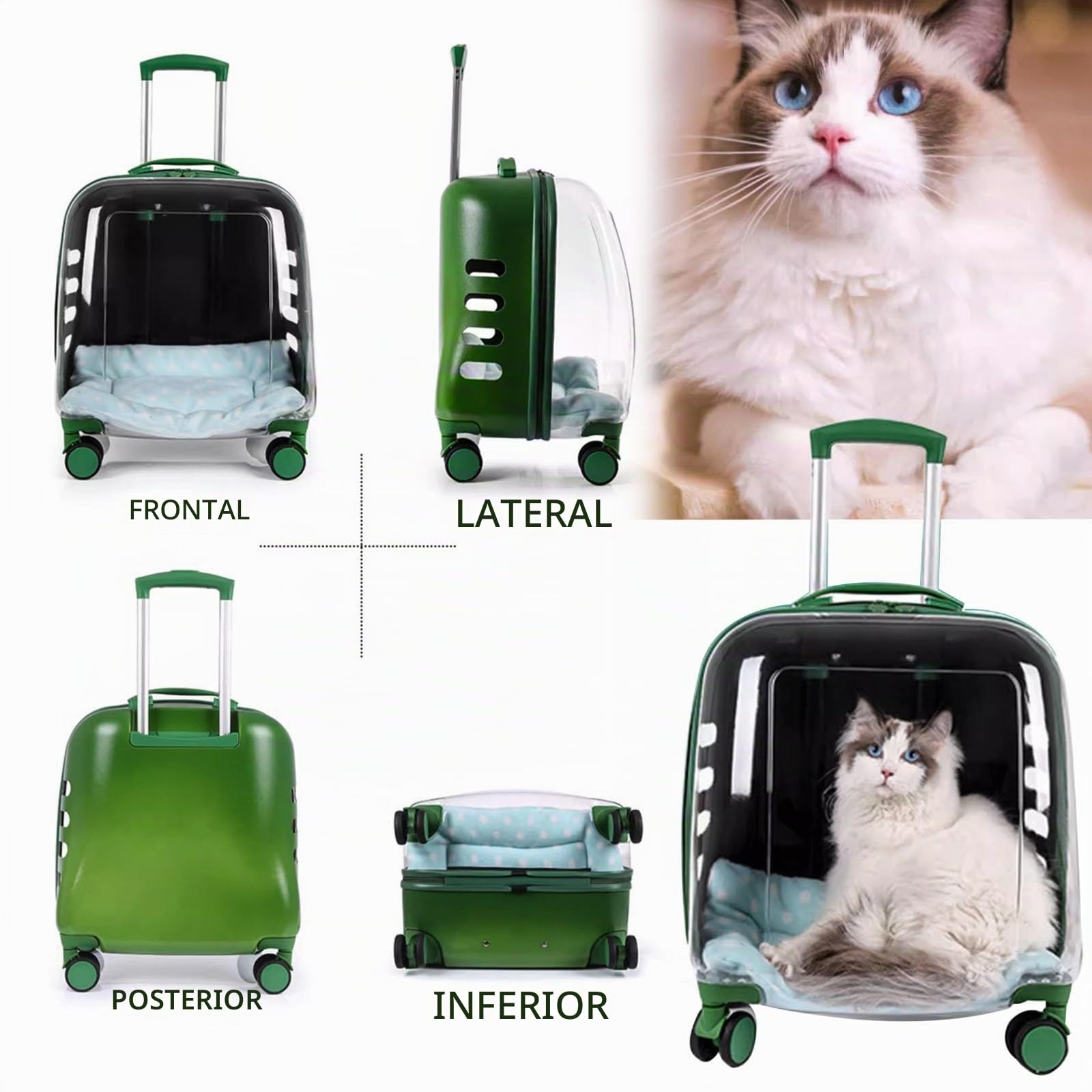 Maleta Portátil con Ruedas Cápsula Espacial Transpirable Maleta para Gatos Gran Capacidad, Mochila para Gatos Transparente (Color : Green Transparent)