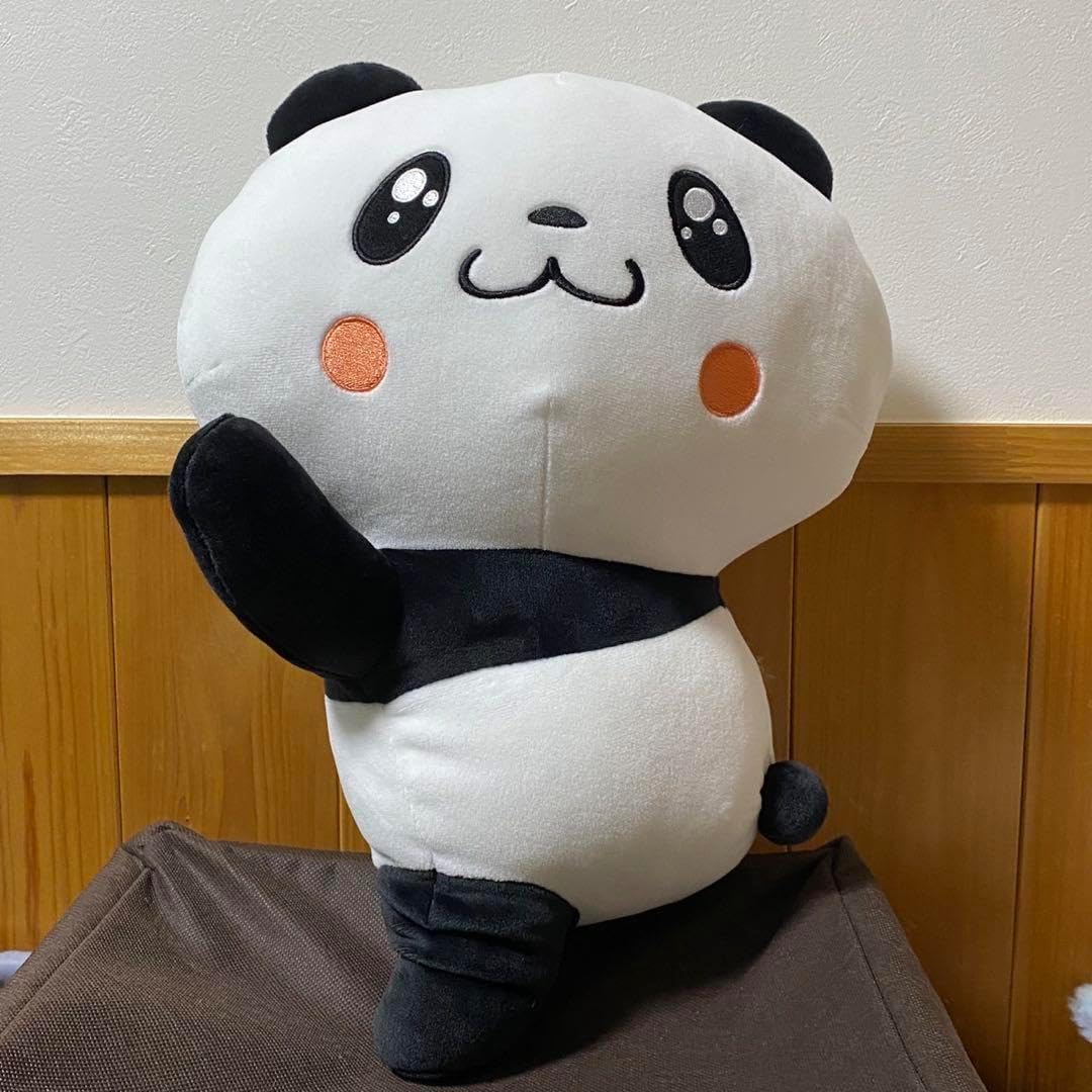 獣医組織学 第八版 DVD付き 獣医組織学 第八版 DVD付き（バーチャルスライド 組織学 改訂版