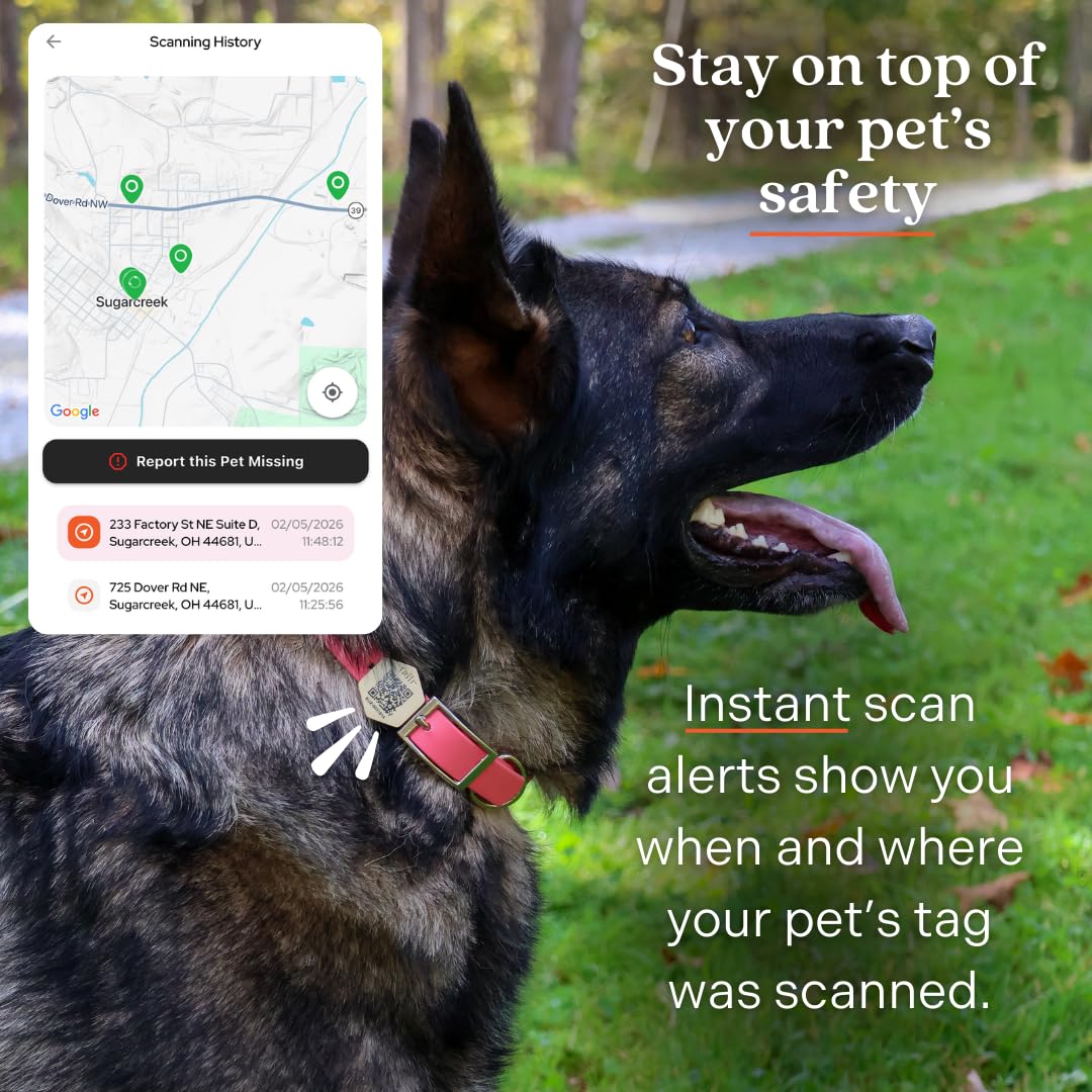 Medaglietta identificativa per animali domestici, con codice QR, medaglietta per cani di grandi dimensioni, etichetta per gatti, profilo personalizzato, include app gratuita per la gestione degli