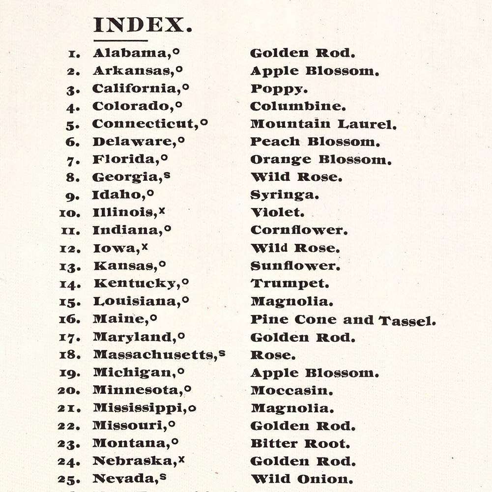 State Flowers of the USA - Our National Bouuet circa 1911 | Art Print Poster Vintage Wall Decor | 24 x 36 inches (610 x 915 mm)