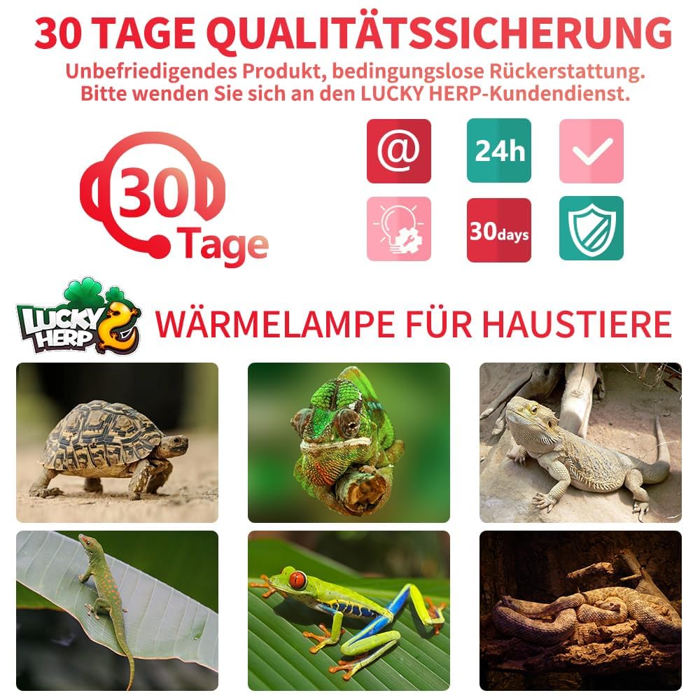 LUCKY HERP 50w reptiles calentan bombillas 2 paquetes, reptiles y anfibios bañan focos infrarrojos, tortugas marinas, raptors, lagartos calentan bombillas