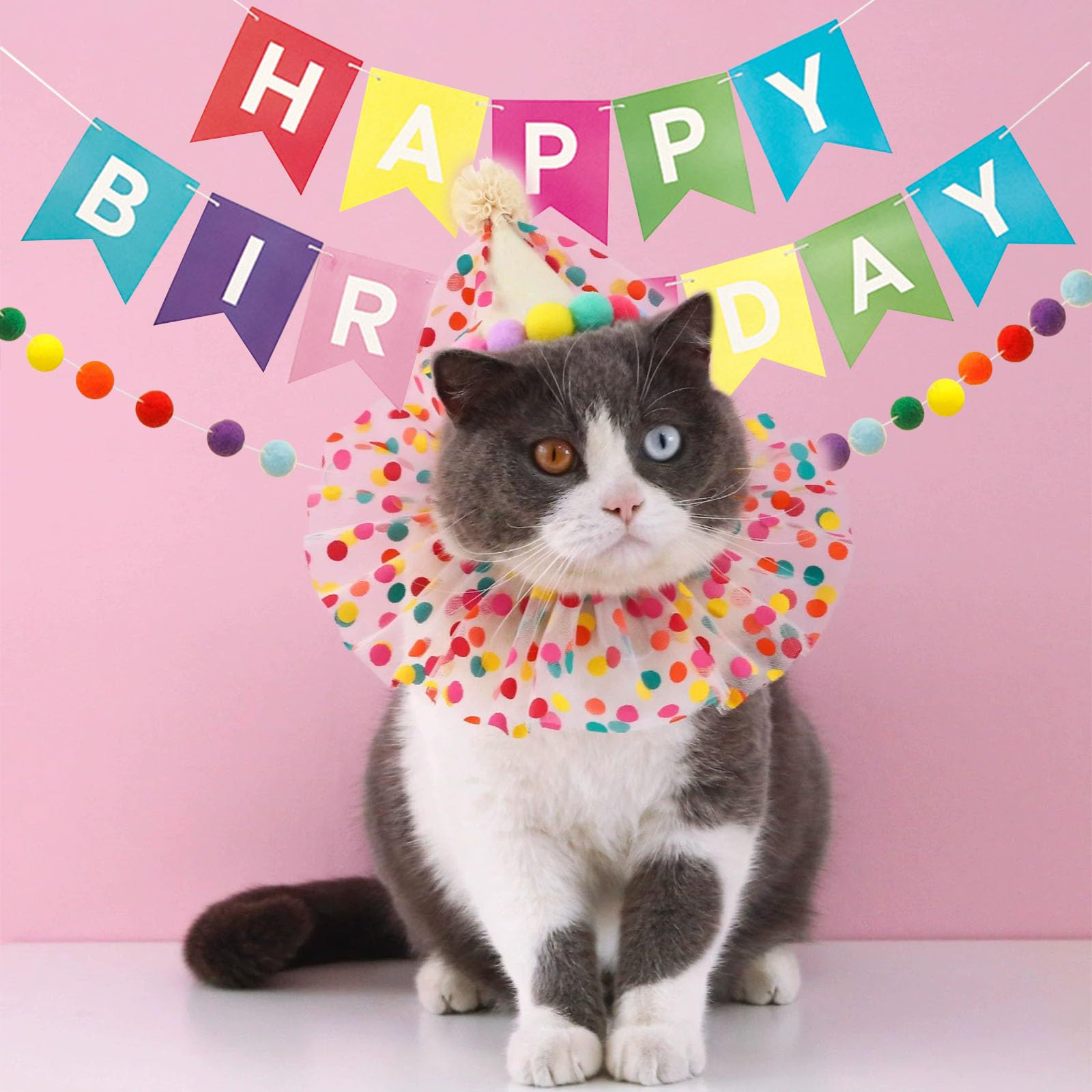 Compleanno Cane Bandana da Festa Set Puntini Colorati Ghirlanda Pompon Striscione Happy Birthday