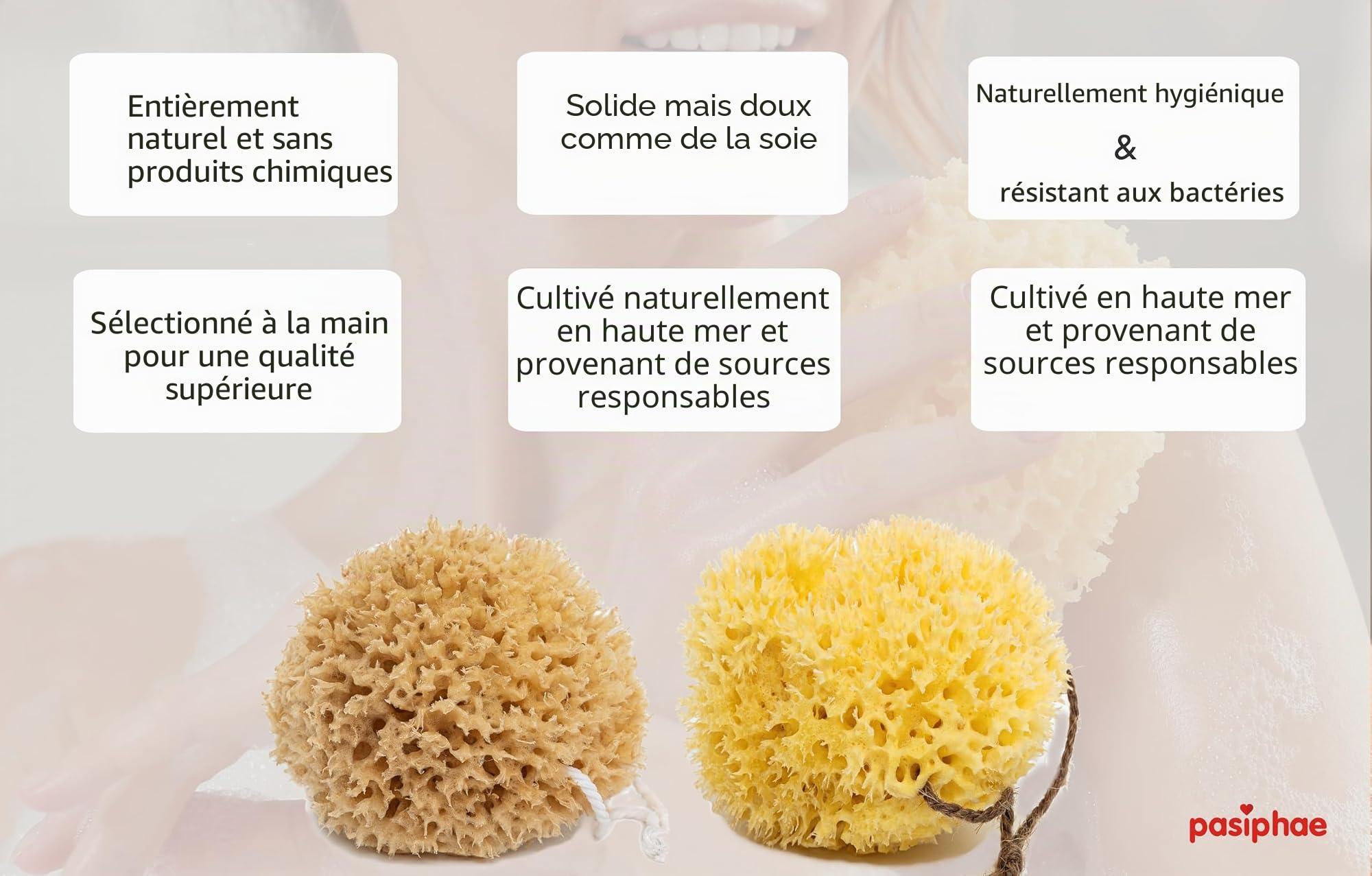 Pasiphae Éponge de bain naturelle de Grèce – Éponge en nid d'Inde – Éponge de douche exfoliante bio douce et respectueuse de l'environnement pour homme et femme (taille M, 1 pièce)