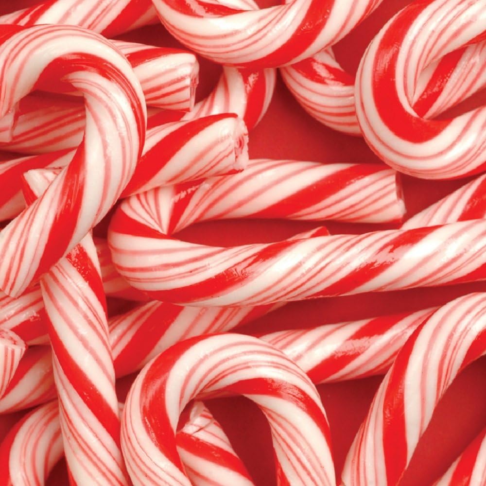Candy Cane Bliss Fragrance Oil (16 oz Bottle) for Candle Making, Soap Making, Tart Making, Room Sprays, Lotions, Car Fresheners, Slime, Bath Bombs, Warmers…