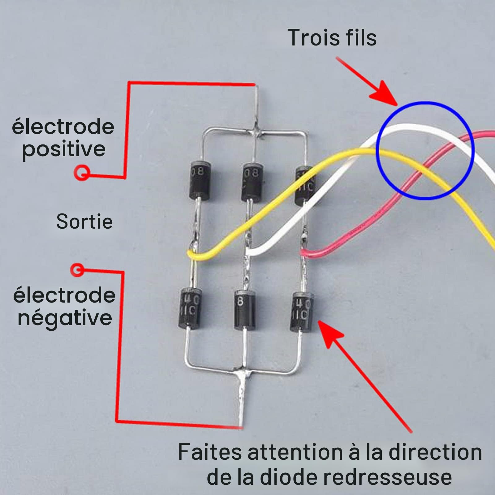 Moteur électrique à aimant permanent triphasé à basse vitesse, générateur de turbine à vent AC Brushless, générateur d'énergie éolienne 12-220V pour éclairage domestique, Dynamo