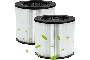 BBT BAMBOOST A10 Replacement Filter for Ganiza Air Purifier A10, 2 Pack Filter