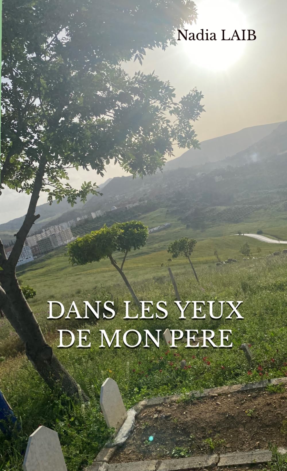 Dans les yeux de mon père