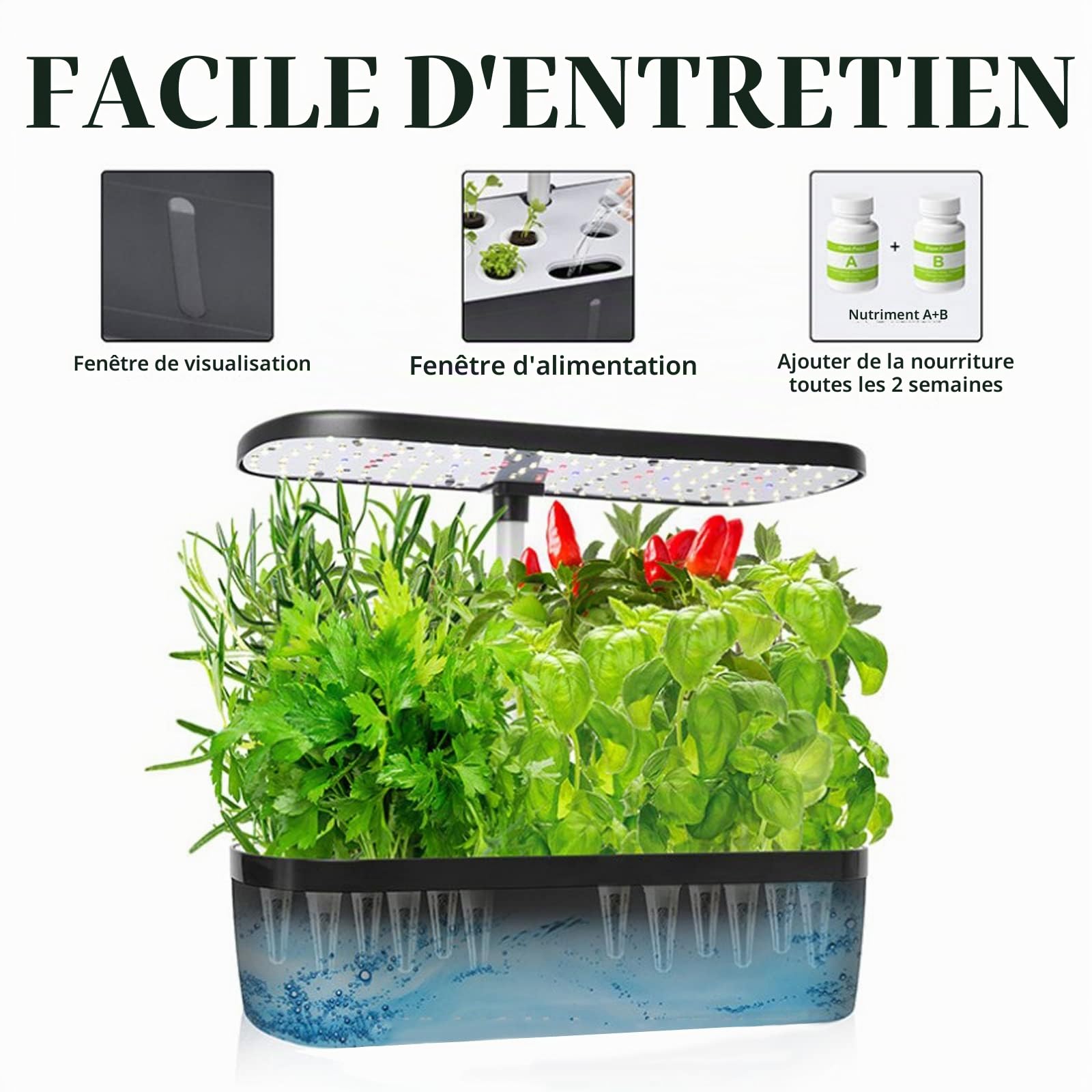 RoseFlower Système De Culture Hydroponique d'intérieur à 12 dosettes, Mini Serre Interieur avec Hauteur Réglable LED Grow Light, Potager Interieur, Station de Culture de Plantes - Noir