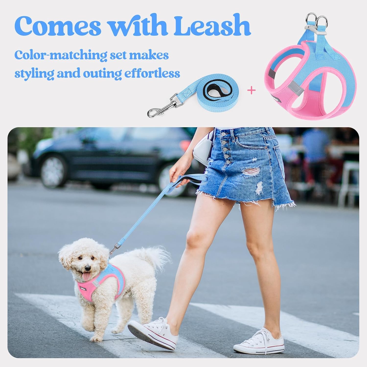 rabbitgoo Dog Harness Small Medium Sized and Leash Set, Step in Soft Light Puppy Vest, Breathable Mesh Pet Harness, Reflective for Safe Easy Walking, Blue & Light Pink L