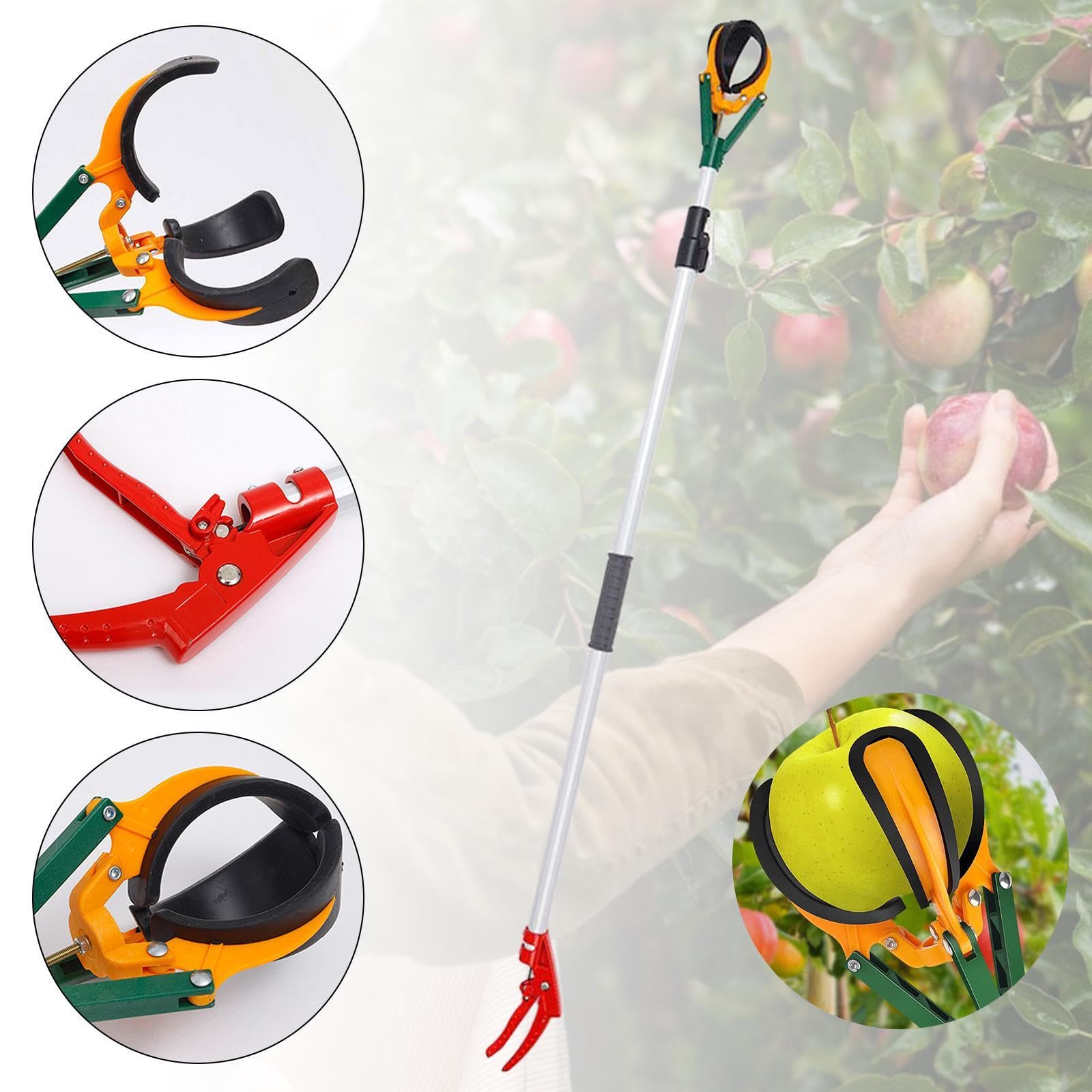 Sharplace Outil de de Fruits, cueilleur d'arbres fruitiers, réglable, Robuste, Professionnel, cueilleur de poires, Polyvalent, pour goyaves,
