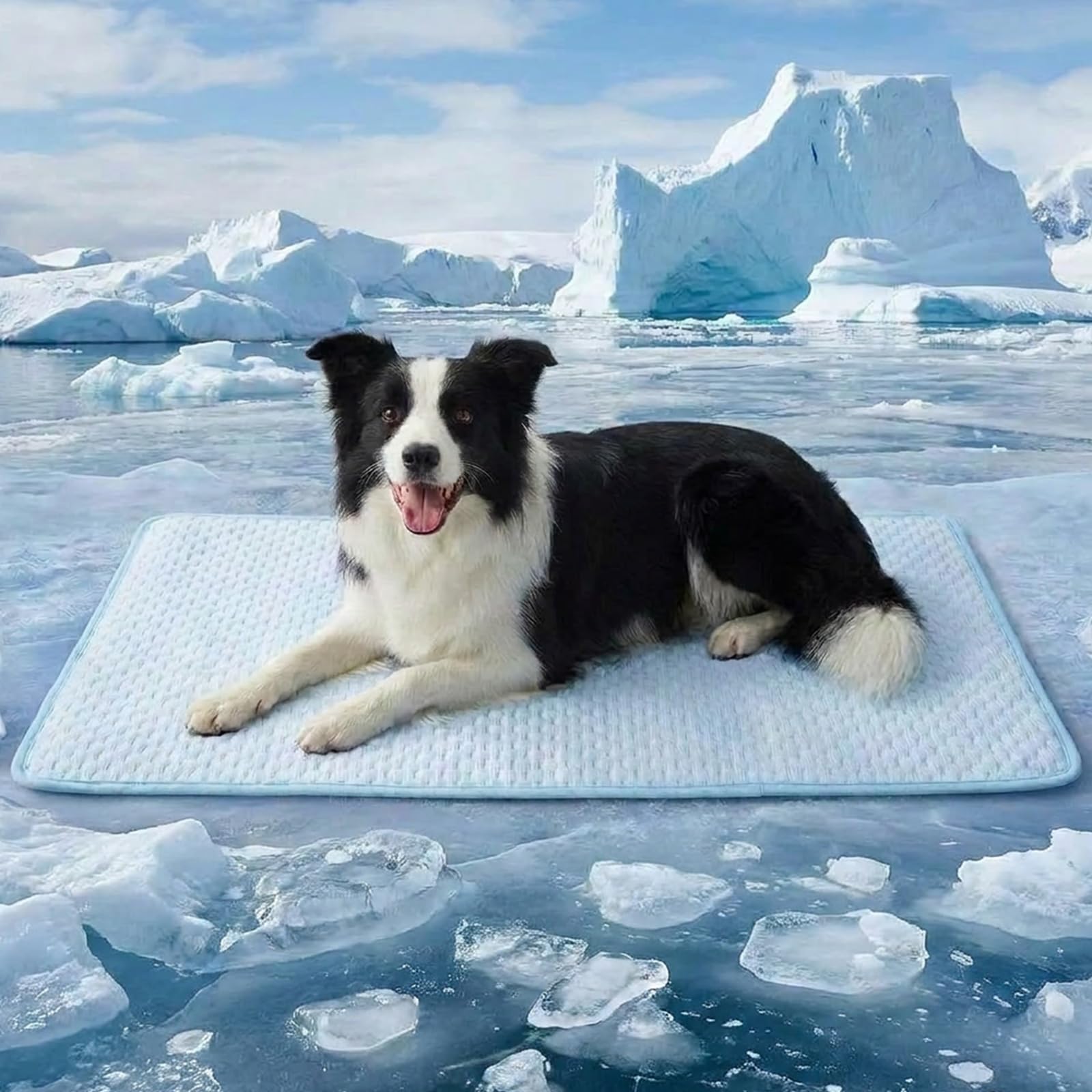 Cooling Mat for Dogs,Dog Cooling Mat Portable Self Cooling Pad for Dogs Cats,Durable Non-Toxic Foldable Coolingmat Easy Mats for Dogs Cats in Hot Summer, Outdoor and Car Use (L)