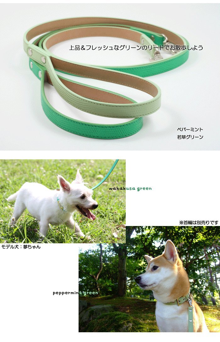 Amazon | 犬リード 犬 リード 小型犬 中型犬 革 レザー おしゃれ No2