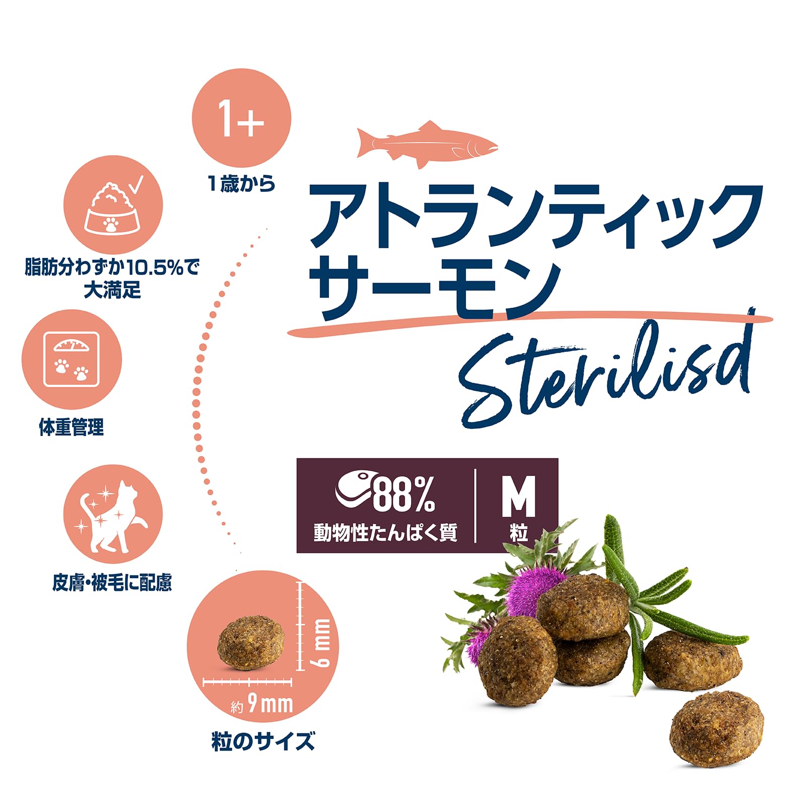 Amazon.co.jp: ハッピーキャット 成猫用 （避妊去勢後のケア） チキン