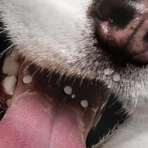 Miniatura 4 de Cortina de baño Husky para niños, 71.7in de ancho x 78.0in de largo Planeta Tierra para cachorros y adolescentes, cortina de ducha para perros