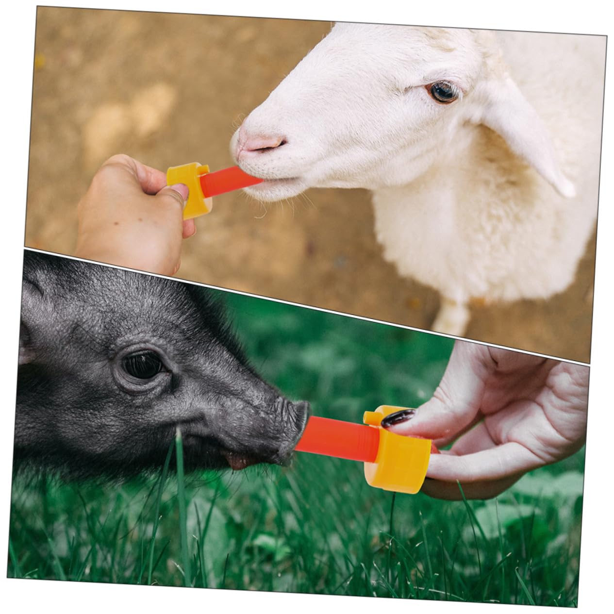 KONTONTY 5Pcs Portable Replaceable Lamb Nipples for Goats and Sheep Convenient Feeding Accessory for Animals Ideal Goat Accessory for Bottle Feeding