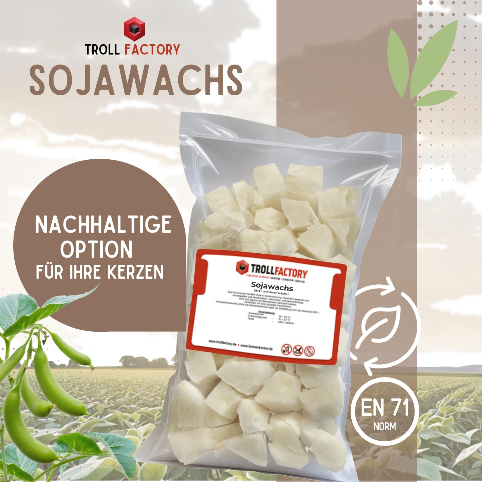 TFC Sojawachs 4kg - Natürliches, Veganes Wachs für Handgemachte Duftkerzen - Biologisch Abbaubar