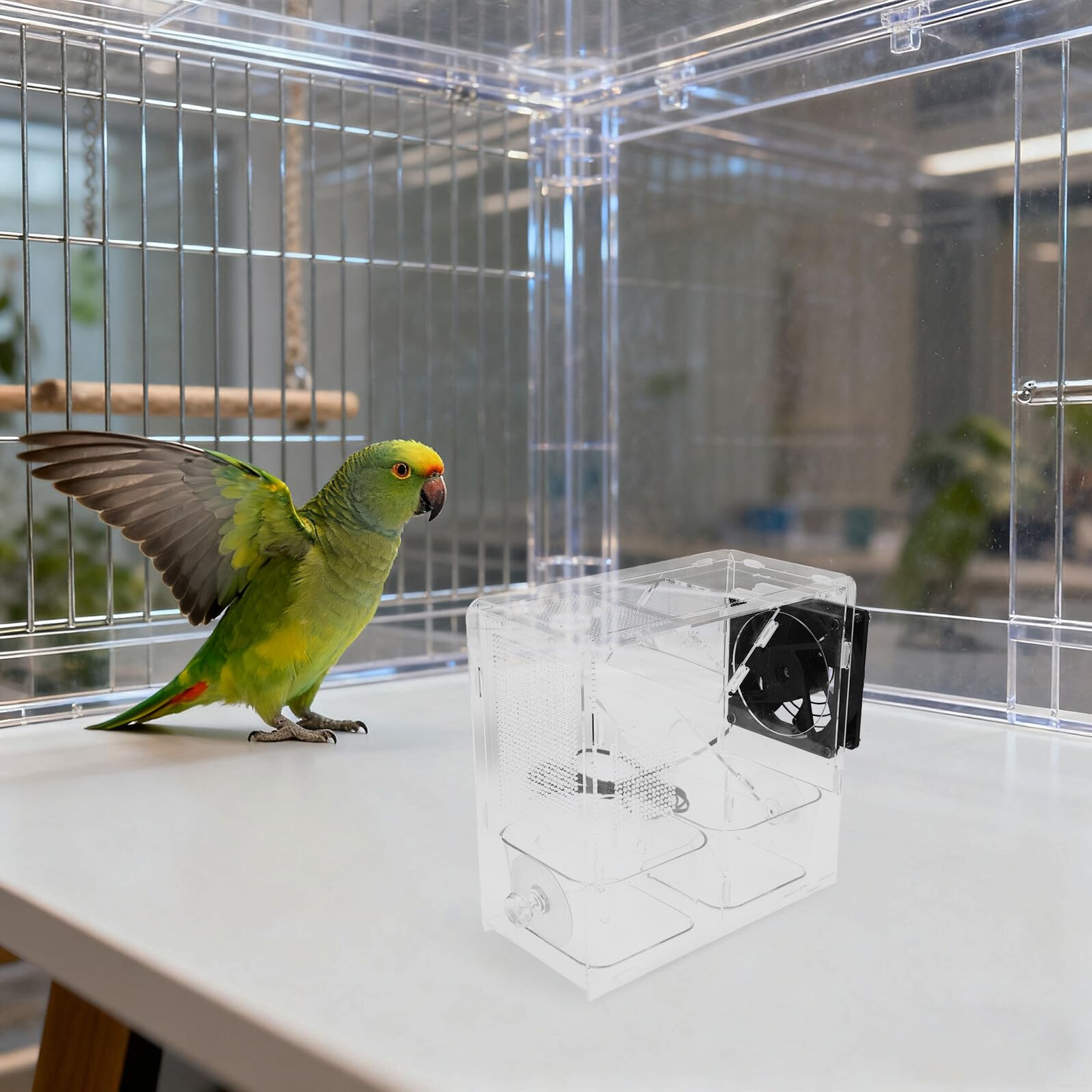 Toyvian Séparateur de Graines pour Oiseaux 1 Set Structure de Vannage
