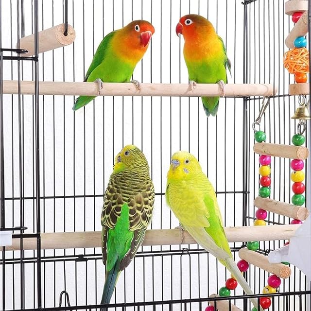 Foto 5 de 8 de Jaula para Pajaros Grande Jaula Loro de Metal con Tazon de Acero Inoxidable + Ruedas Bloqueables (59 * 59 *…