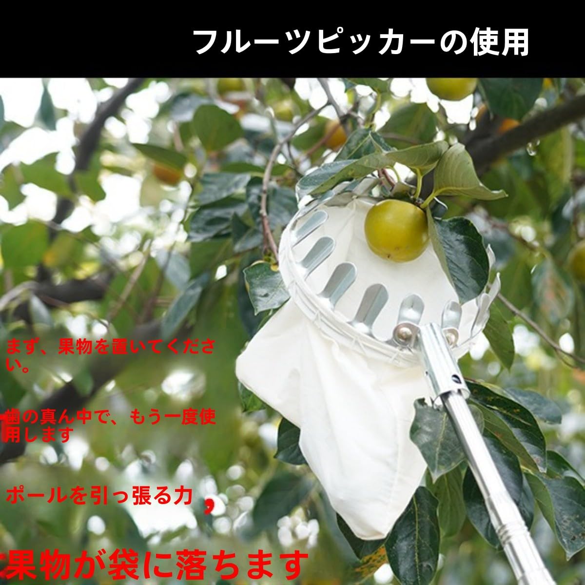 Amazon | Figoday 果物収穫機 収穫アシスタント 伸縮式 ステンレス製 