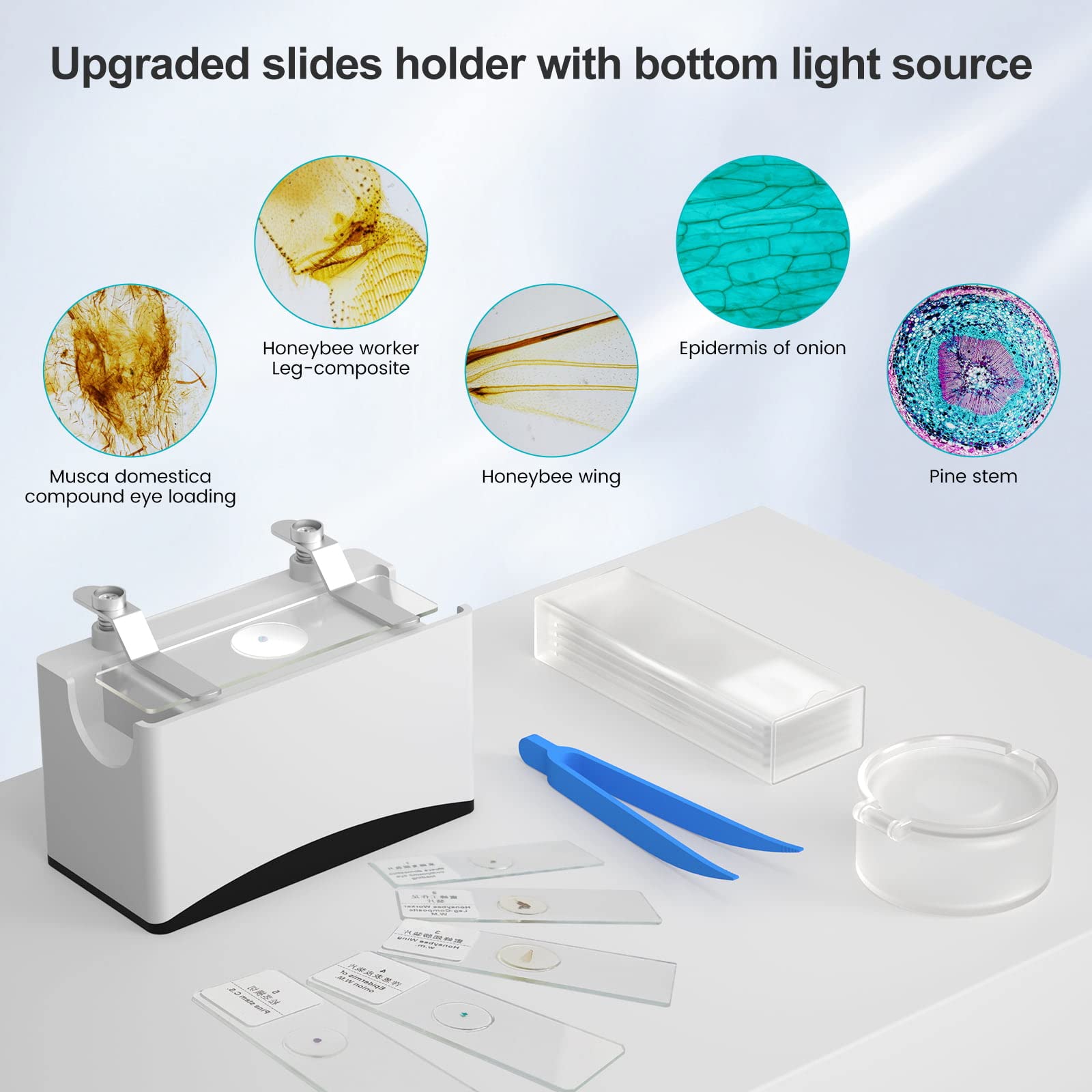 LINKMICRO LM210 10.1'' LCD Digital Microscope Soldering Electronics Microscope Camera Adults [12'' Microscope Stand] 260X Error Coin Microscope Full View Coins, Watch Repair PCB DIY, 32G SD Card