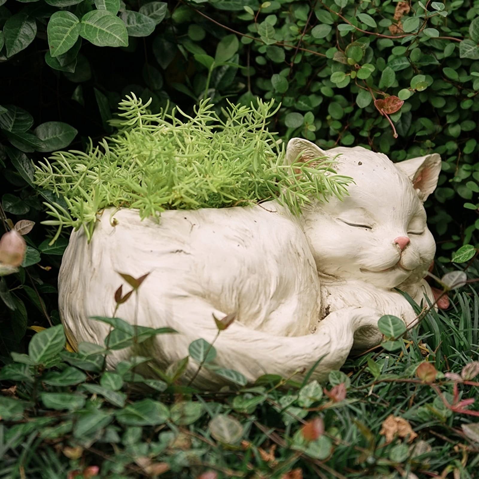 Biały Kociak, Figurka Małego Kota, Żywiczne Doniczki Do Sukulentów, Hydroponiczne Wazony Na Biurko, Doniczka Do Uprawy Roślin, Bonsai, Kaktus