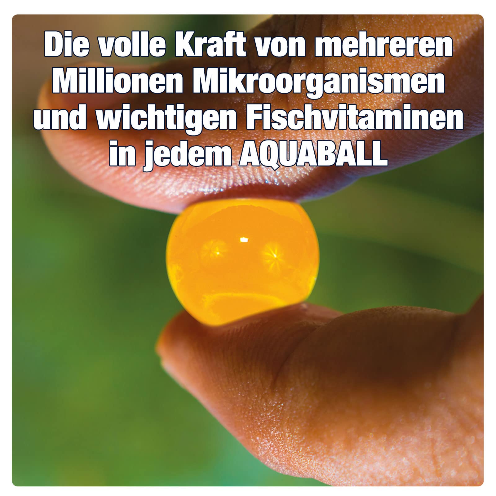 AQUALITY AQUABALLS Herbst & Winter für den Gartenteich (Lebensnotwendigen Mikroorganismen - Optimale Abgabe bis zu 4 Wochen - Perfekt überwintern), Inhalt:5 Liter