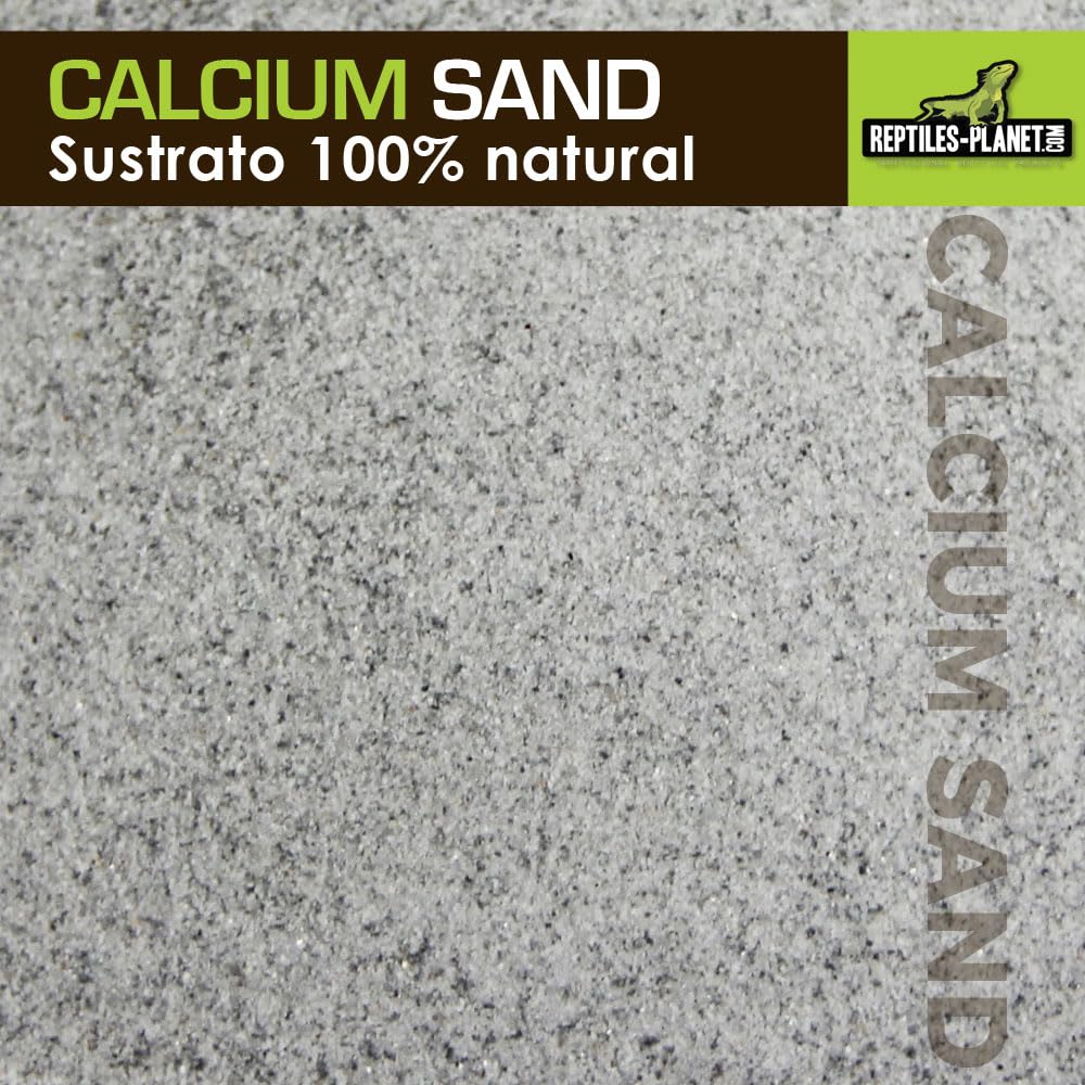 Reptiles Planet Arena de Arena de Calcio terrarios Calcio Sand Artic Blanco 5 kg