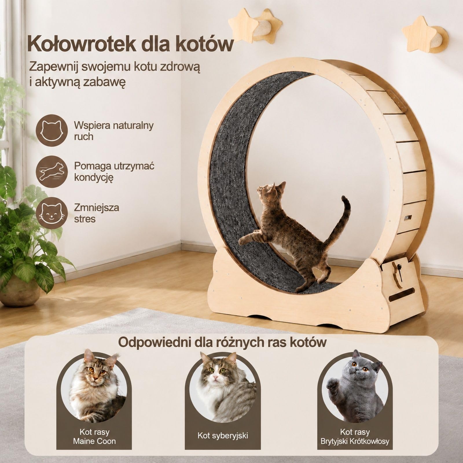 Bieżnia dla kota z MDF w kolorze drewna, wyjmowana mata, blokada koła, panel do drapania, wolnostojąca zabawka domowa