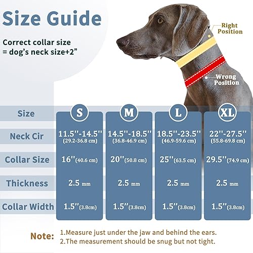 Miniatura 4 de Collar antitirones para perro Martingala, collar antitirones para perros grandes, medianos y pequeños, collar de perro personalizado ajustable con