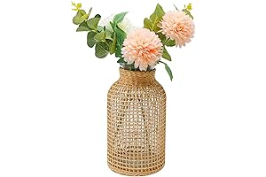 MDEOOSKY Straw Woven Glass Vase for Farmhouse Style