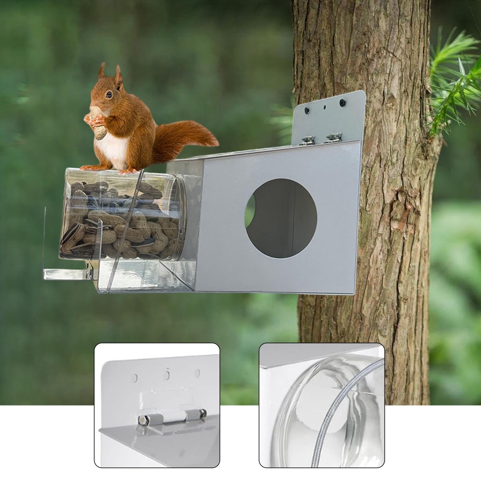 Mangiatoia per scoiattoli con Rimovibile, Stazione di Alimentazione Stabile e Versatile, casetta per scoiattoli per Giardino, Cortile e spazi