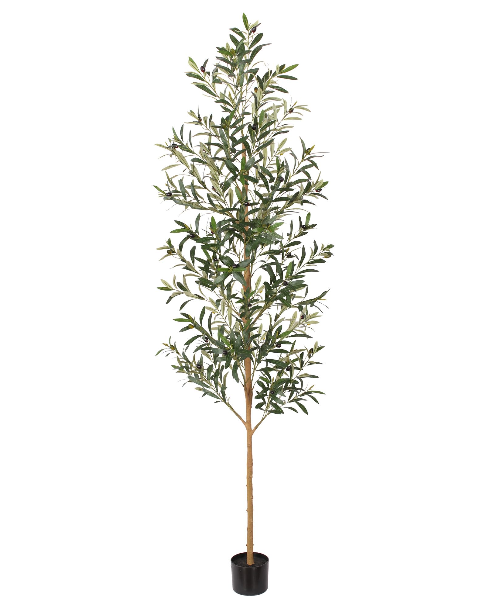 Photo 1 of FLOWORLD 7ft Artificial Olive Tree