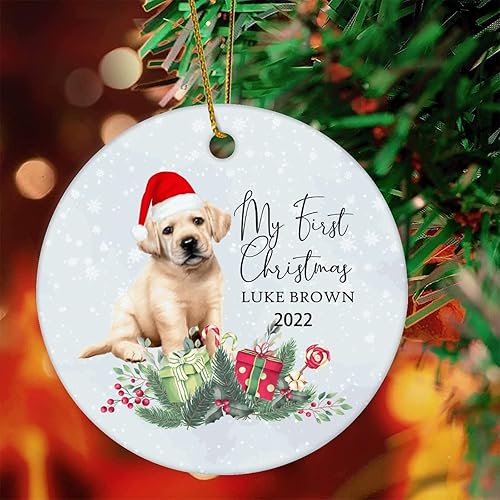 Personalized Pet Ornament My First Christmas Dog Ornament Custom Dog Ornament Keepsake Dogo Argentino Portrait Name Gift Xmas Tree Decoration 3"