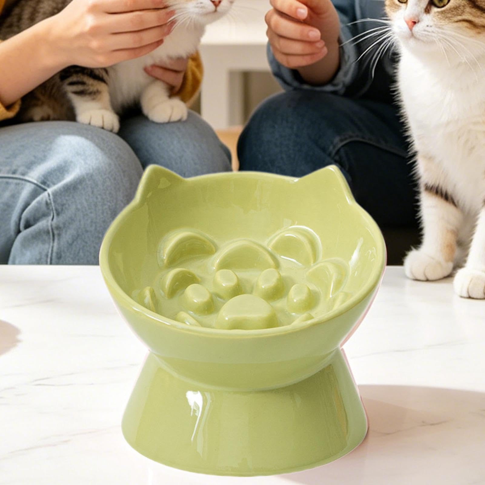 Ciotole Rialzate per Gatti Mangiatoia Lenta Anti-Ingordigia in Ceramica | Ciotole Sopraelevate Per Gatti per Interni Soggiorno Cucina Casa Appartamento Terrazzo