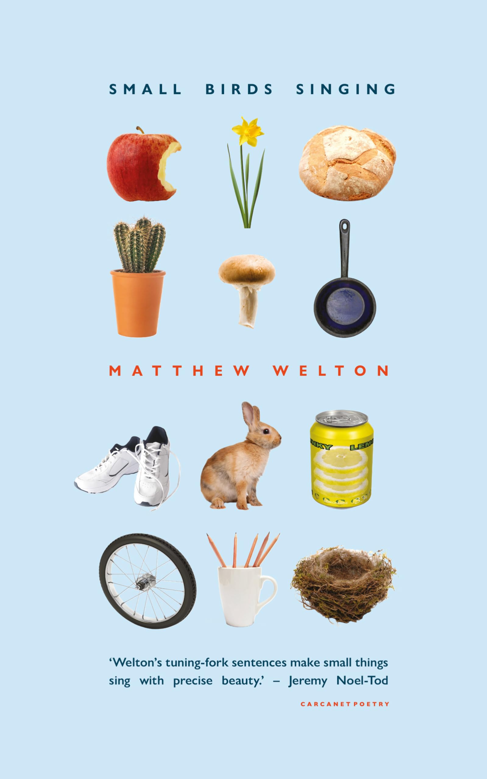 Small Birds Singing by Matthew Welton - 9781800175594