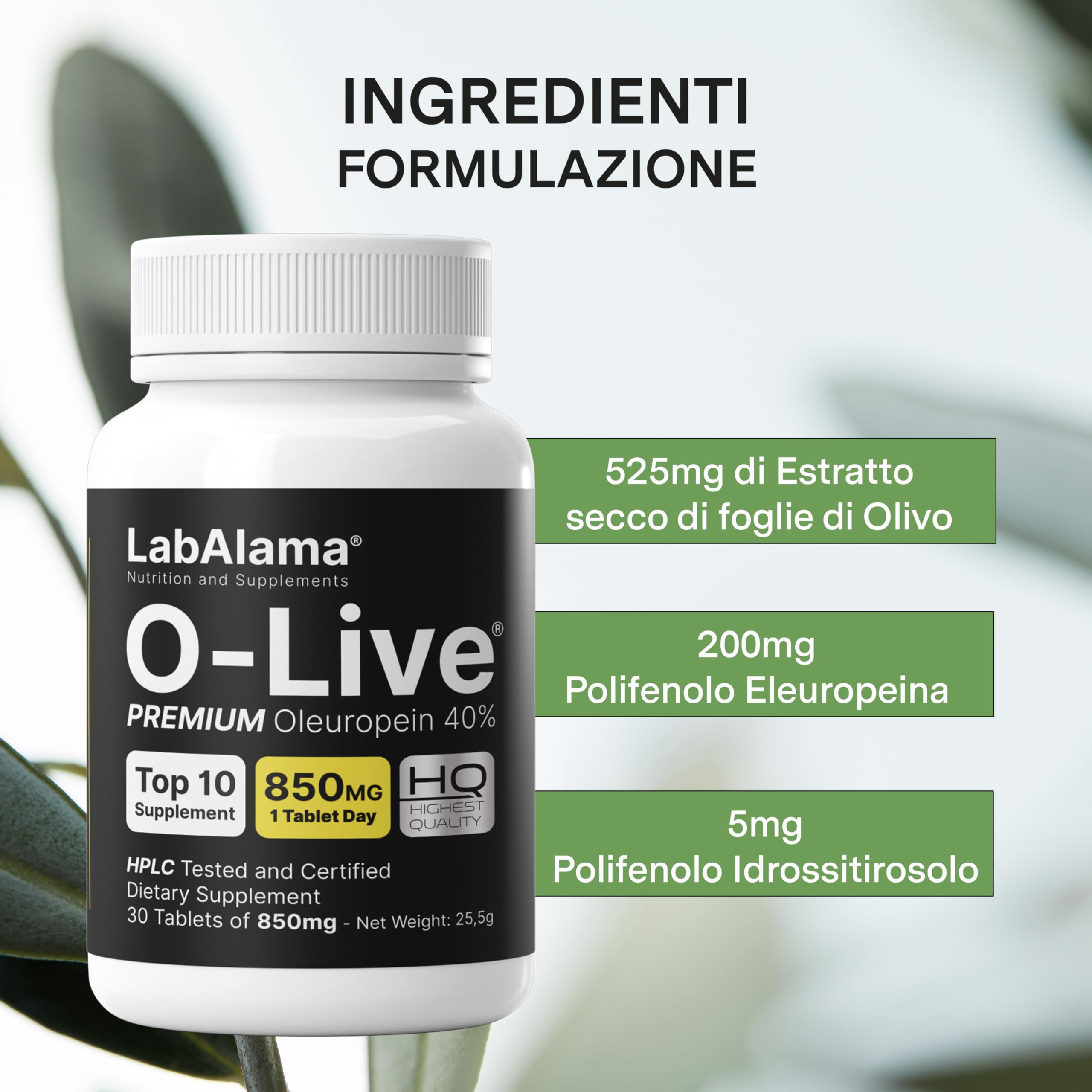 OLIVE Integratore antiossidante a base dei polifenoli Oleuropeina 40% e Idrossitirosolo 20%. Favorisce metabolismo di carboidrati e lipidi. 30 compresse da 850 mg (1 Confezione)