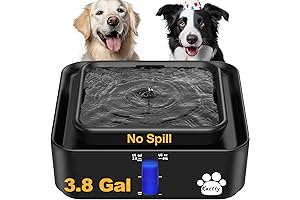 Kastty Large Water Fountain for Pets