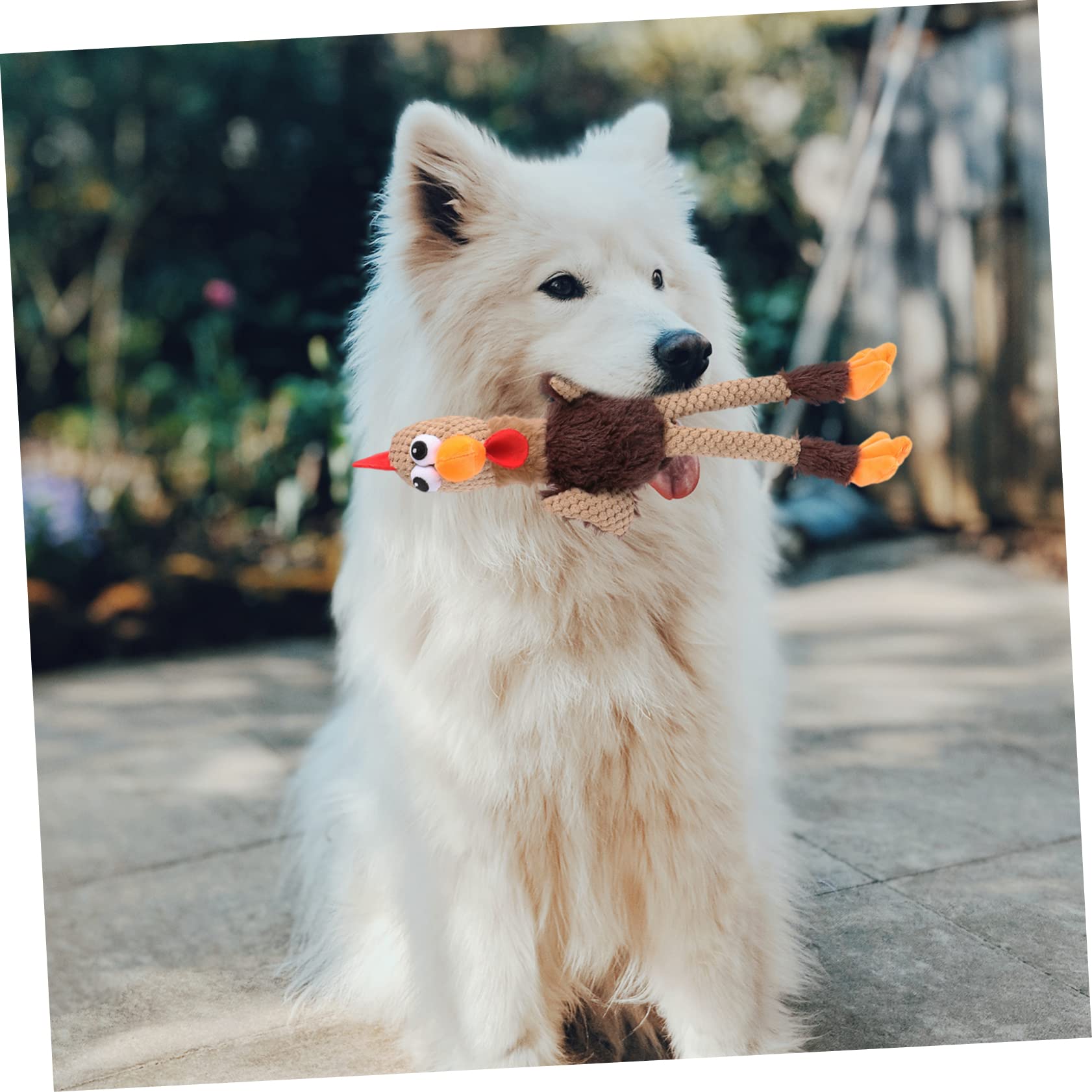BESPORTBLE 3piezas Juguete Interactivo para Perros y Gatos Muñeco De De Peluche para Masticar y Limpiar Los Dientes Juguete para Mascotas Divertido y Saludable