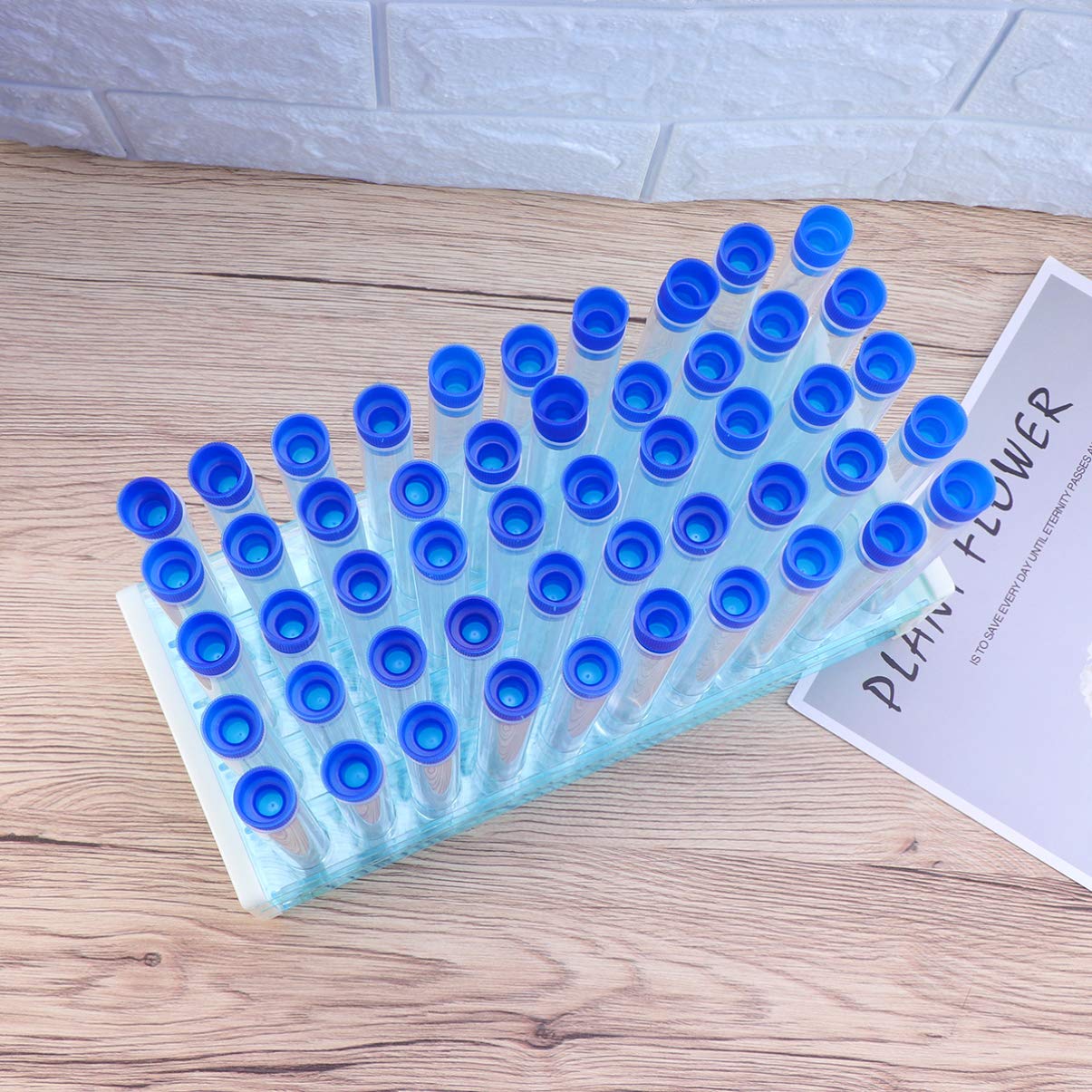 Tubo de Ensayo de Plástico Duro 50 Piezas con Soporte Azul | Cierre Sellado, Apto para Experimento Científico y Uso Doméstico, Adecuado para Guardar Polvo