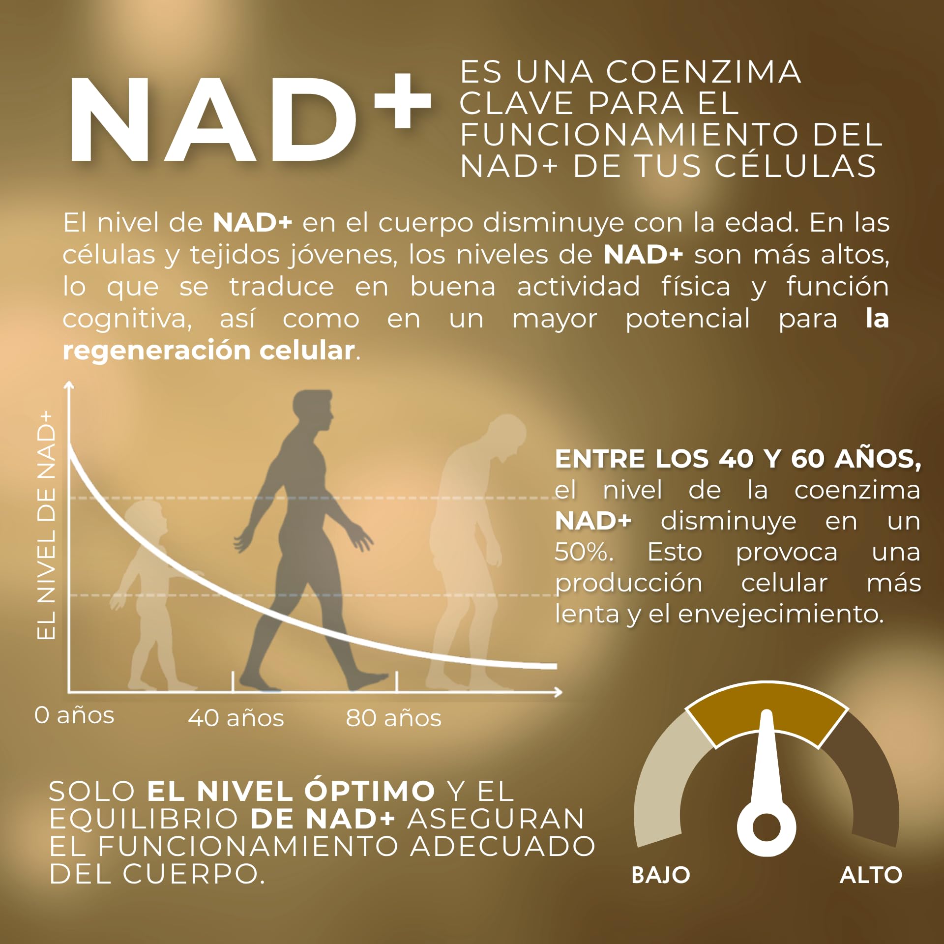 1-MNA PRO, Suplemento Antiedad, Optimiza NAD+, Doble Dosis para Efectos Más Rápidos, Biohacking, Salud Celular, Científicamente Formulado, Alta Biodisponibilidad, 30 Cápsulas
