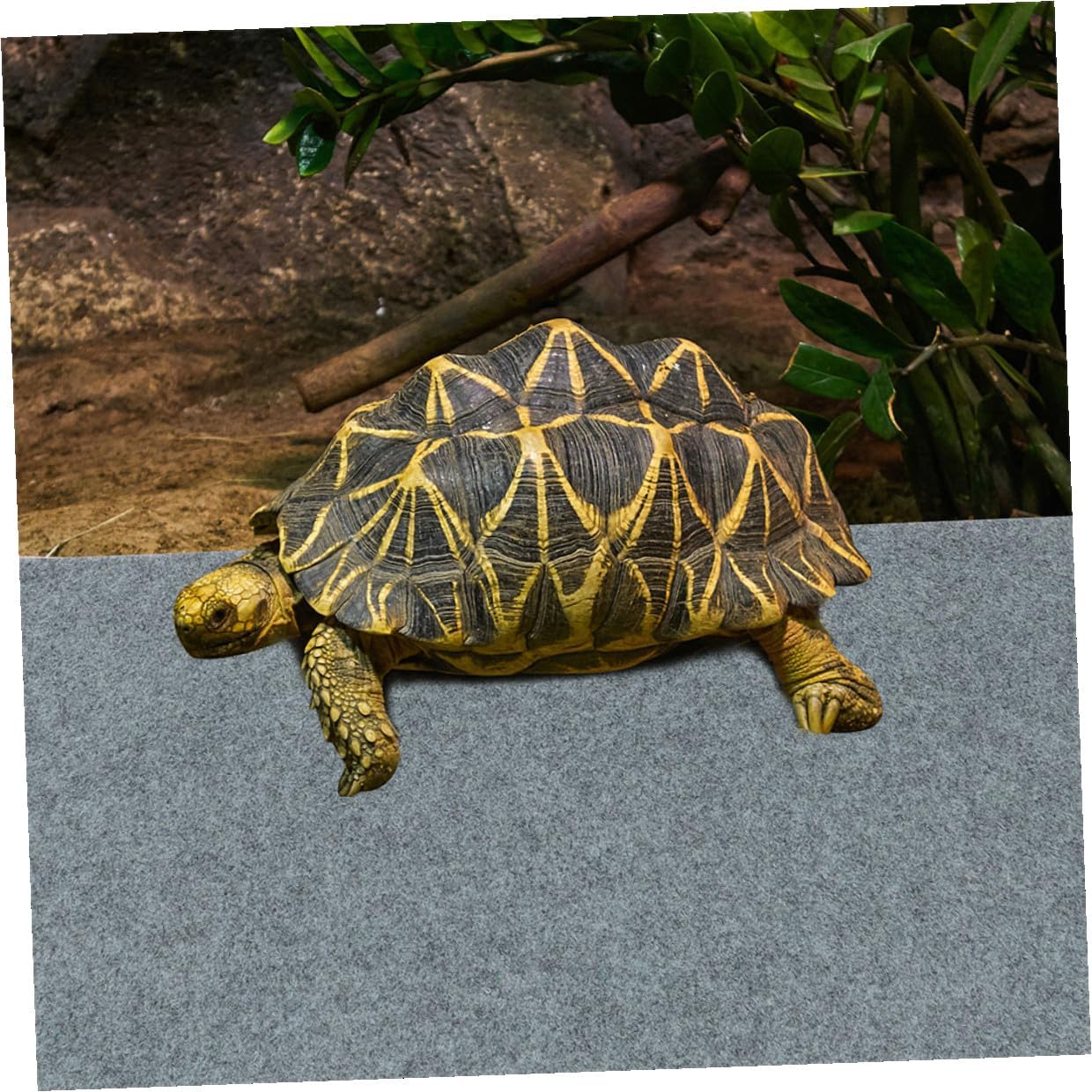 Kisangel 2pcs Reptile Terrarium Carpet Mat Liner for Turtle Lizard Bedding Substrate Pet Cage Pad with Cut Soft Non-Dusty Ground Mat for Reptile Breeding Box
