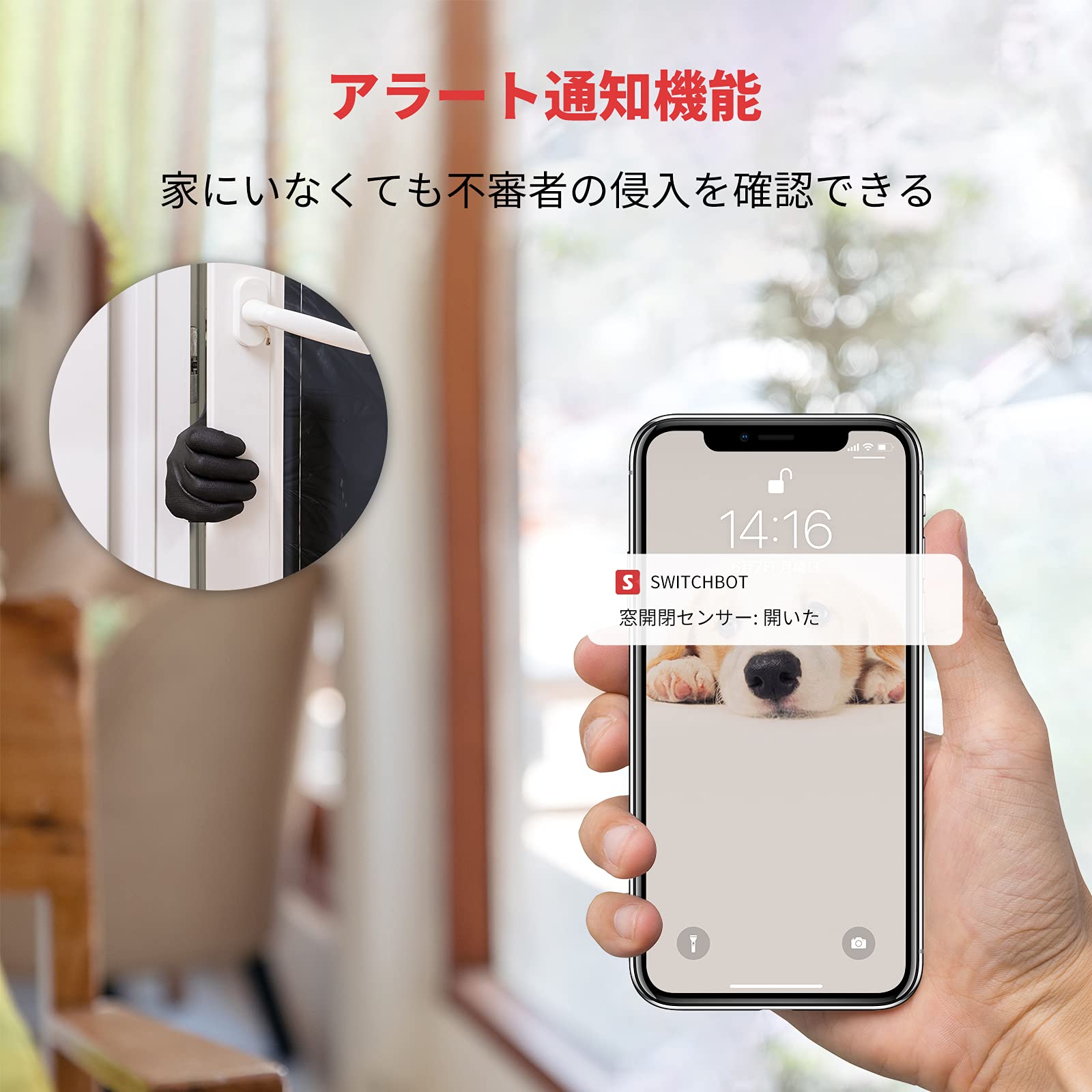 Amazon.co.jp: SwitchBot 開閉センサー スイッチボット Alexa