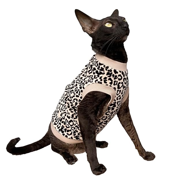 Foto 2 de 6 de Kotomoda Camiseta de Gato Blanco Leopardo de terciopelo orgánico para Sphynx y gatos desnudos (XS)
