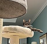 Review Image by Elan