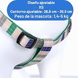 Ver la foto 4